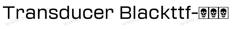 Transducer Blackttf字体转换 Transducer Blackttf字体转换